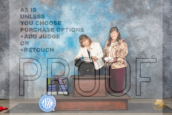 Affenpinscher #6 Sat OHRBIS Judge Polly Smith OHG1 Judge Beth __JP_5687_San Antonio_2024_HR3
