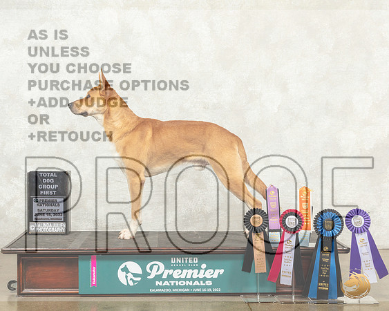Carolina Dog #1319 Sun__MJ_9586_Premier_2022_HR3