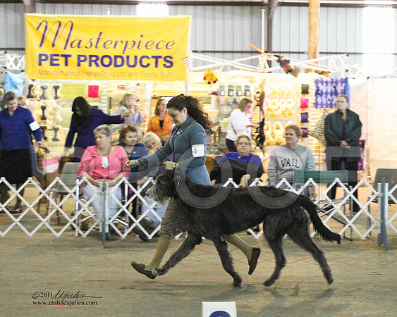 Group Hound Saturday - 0004-4