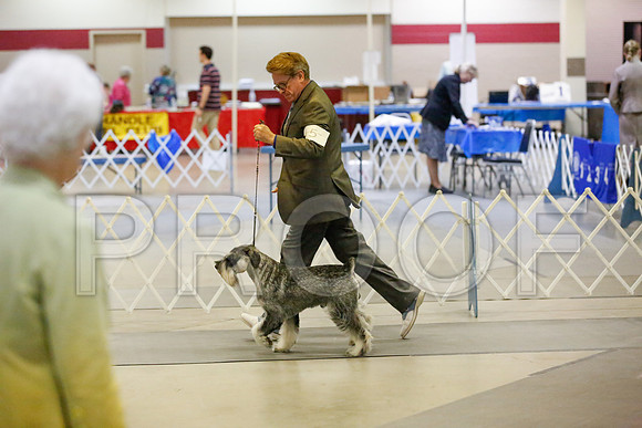 _JJ_7552-AmarilloSept2014-HR3