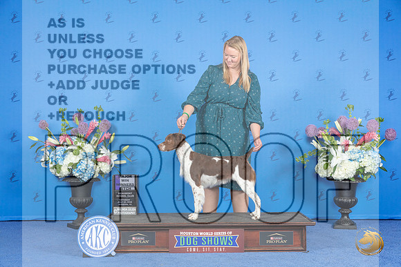 Brittany #28 SAT WB M Judge Ronald Freeman r__JP_0370_Houston_2024_HR3