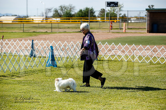 _JN_0508-AlamogordoOct2014-HR3