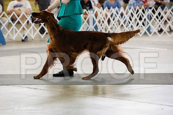 _JN_2489-DallasJul2014-HR3
