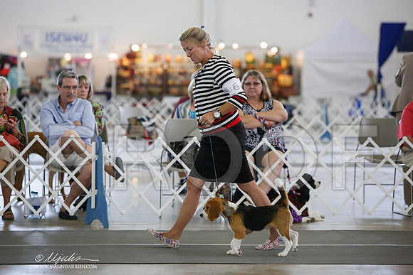 _JJ_2873-DallasJul2014-HR3