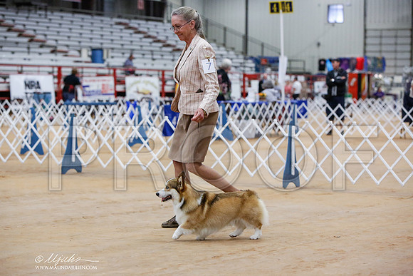 _JN_4694-TxArJun2014-HR3