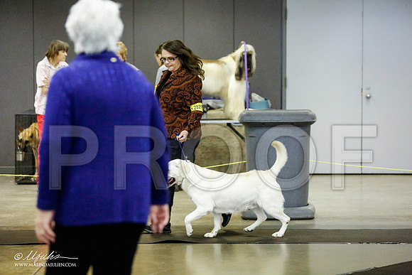 _RH_1122-BeltonJan2015IABCA-HR3
