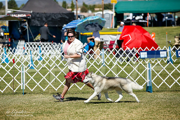 _JJ_0917-AlamogordoOct2014-HR3