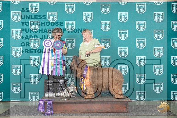 Briard #651 Wed BV Judge Jennifer Landers__JP_0482_Premier_2024_HR3