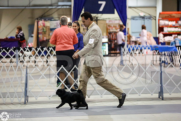 _RH_4280-SanAntonioJul2014-HR