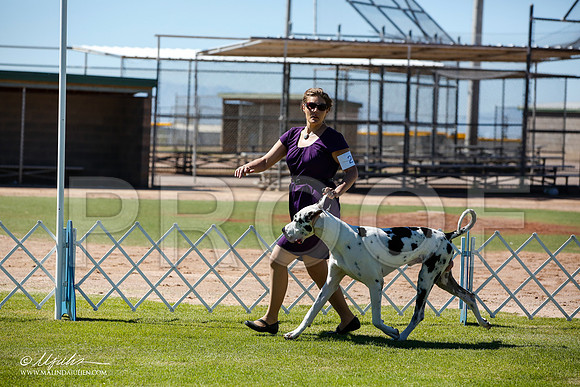 _JN_6408-AlamogordoOct2014-HR3