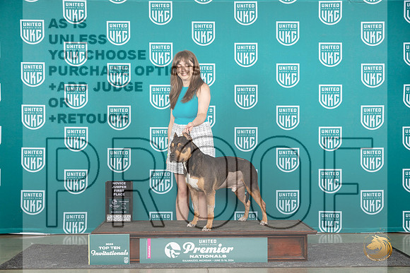 American Bully #1417 Thur Dock Judge James Birch__JP_0949_Premier_2024_HR3