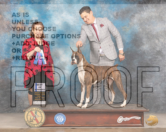 Boxer #18 Fri BOW Judge Donnell RichardsMMJ_3262_Mdlnd2022_HR3