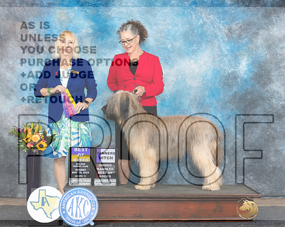 Briard #6 Sun WBBOBOHBOB Judge Edy Dykstra-Blum_JP_0018e_Abilene_2024-HR3