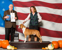 American Staffordshire Terriers #9 Sat G4 Martz Brenda L Heidi Burton Agent Gerry L Thornton