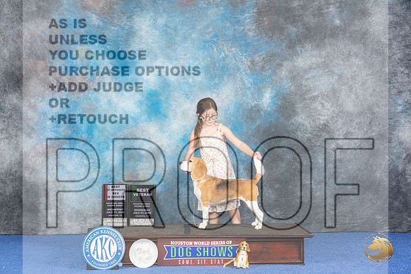 Beagle 15 #14 WED BV BOSSw Judge Douglas Johnson__JP_7012_Houston_2024_HR3