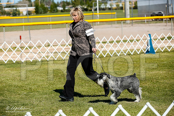 _JJ_0224-AlamogordoOct2014-HR3
