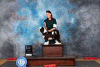 Tibetan Terrier #5 Sun WDBOW NCH Judge Anne Catterson