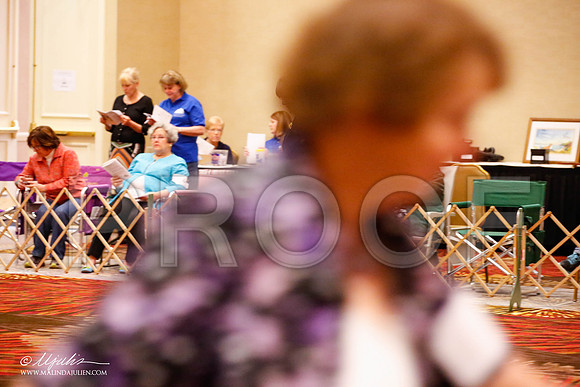 _JJ_8849-HstnCorgiFeb2015-HR3