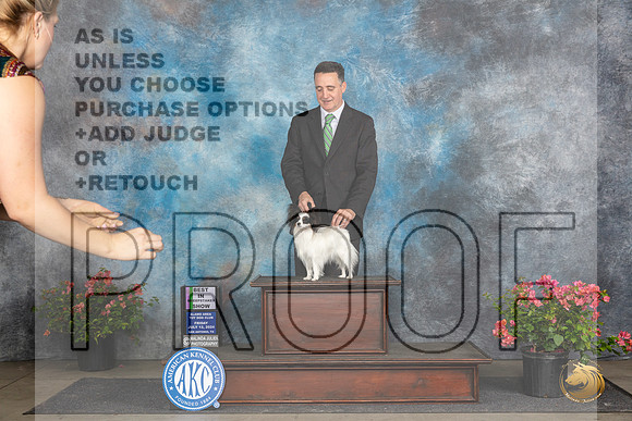 Papillion #20 SG1 Judge Claire Wisch Abraham__JP_4251_San Antonio_2024_HR3