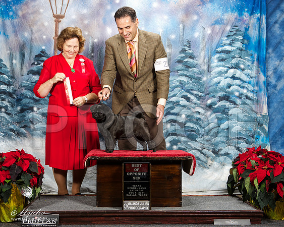 _ST_8693-DallasDec2014-HR3