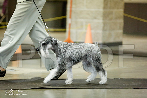 _RH_1841-BeltonJan2015IABCA-HR3