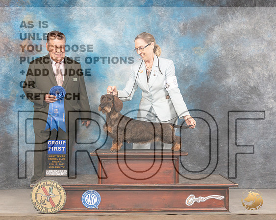 Dachshund Wirehaired #6 Fri G1 Judge Del RichardsMMJ_3477_Mdlnd2022_HR3