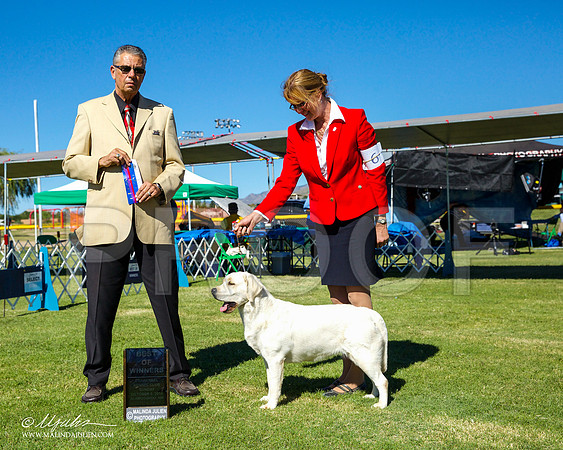 _CL_0393-AlamogordoOct2014-HR3
