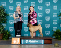 Beth Gehris-Padro UKC Premier 2025