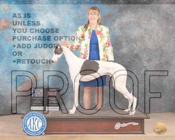 Greyhound #7 SAT WDBOWOHBOBM Judge Eric Liebes-MMJ_3633-Abilene2022-HR3
