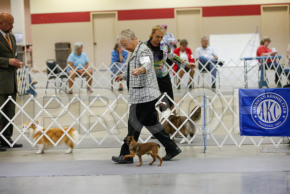 _JJ_0624-AmarilloSept2014-HR3