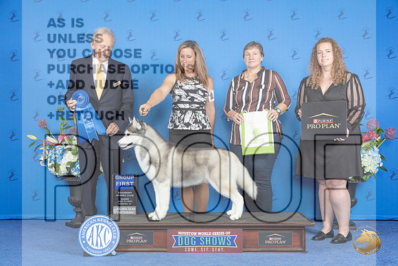 SIberian Husky #9 SUN G1 Judge James Moses__JP_0819_Houston_2024_HR3
