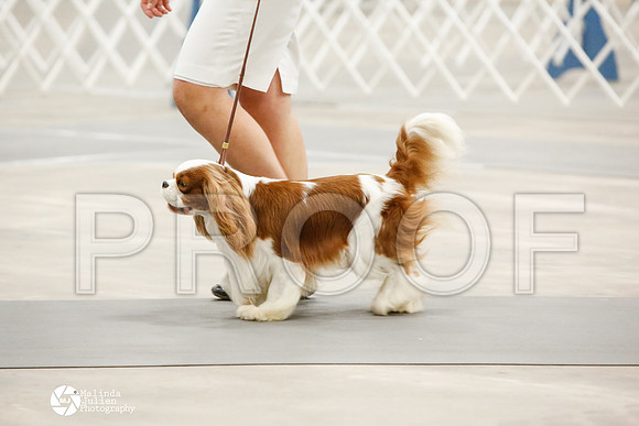_CK_7946-AblnMay2014-web
