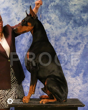 dobe-8176-MidFeb14-HR