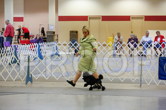 _JJ_1383-AmarilloSept2014-HR3