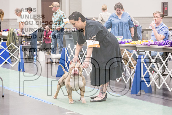 Bully Rings Fri Ring 1_JJL_6876_UKCLNGVIEWOCT2024_2024_HR3