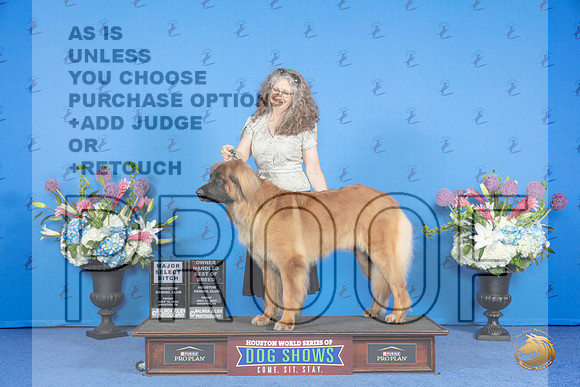 Leonberger #16 FRI SB OHBOB M Judge Douglas Johnson__JP_8785_Houston_2024_HR3