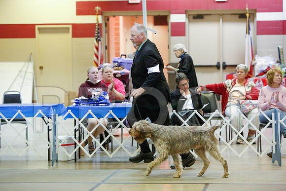 _JJ_4561-AmarilloSept2014-HR3