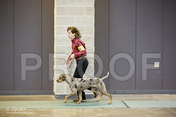 _JN_3234-BeltonJan2015-HR3