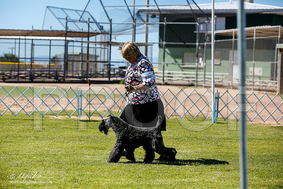 _JN_4861-AlamogordoOct2014-HR3