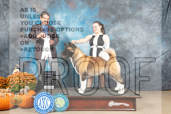 Akita #6 Sat G4 Judge Lloyd Graser_MJ_5862_Belton_2022_HR3