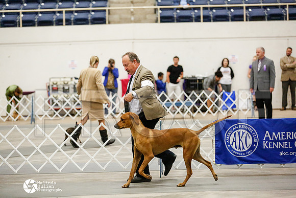 _RH_1492-AblnMay2014-web