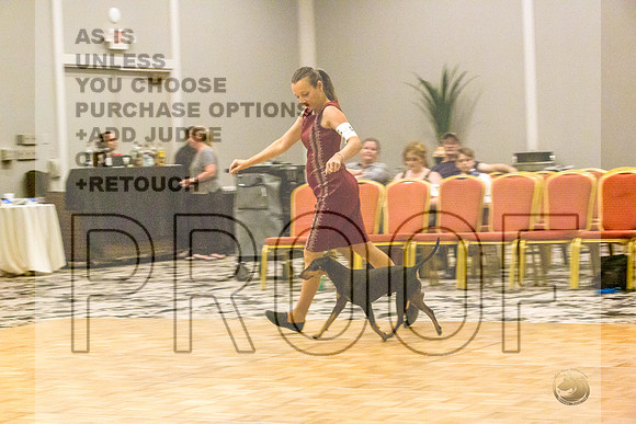 Manchester Terrier MTOY Candids-JJL_2188-Hstn2022_HR3