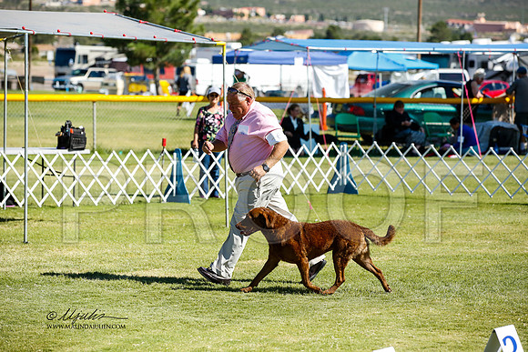 _JN_1390-AlamogordoOct2014-HR3