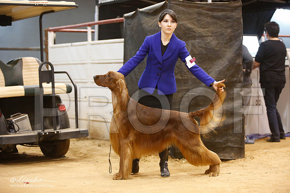 _JJ_7516-GlenRoseJan2015-HR3