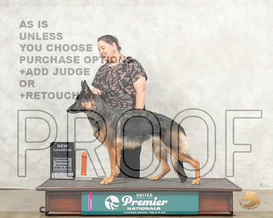 German Shepherd Dog #1149 Sat Ch Judge Pamela Perdue__MJ_8509_Premier_2022_HR3