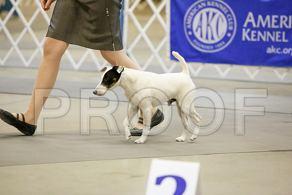 _JJ_3874-AmarilloSept2014-HR3