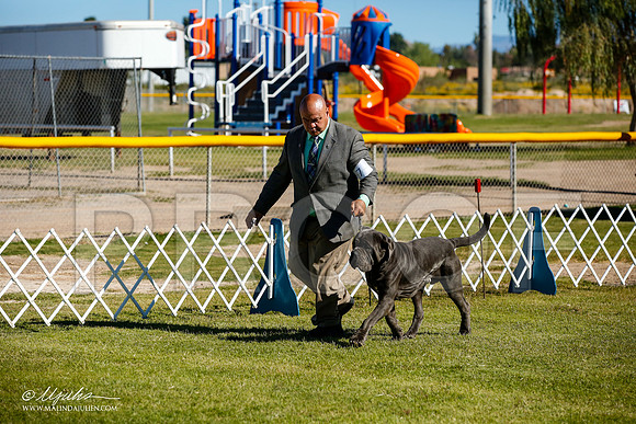 _JJ_9524-AlamogordoOct2014-HR3