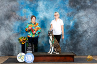 Boxer #21 Fri Nov2 Judge Sandra Walker