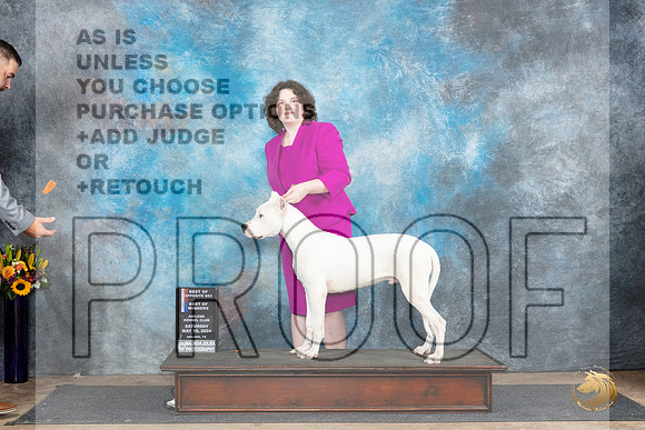 Dogo Argentino #7 Sat WBBOWBOS Judge Sharol Candace Way__JP_9874_Abilene_2024_HR3