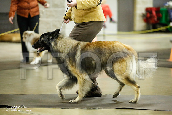 _JJ_7054-BeltonJan2015IABCA-HR3